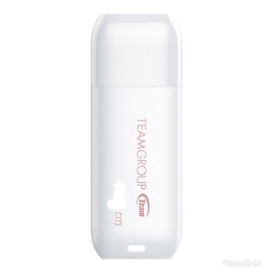 Team USB Flashdisk C173 64GB 2.0 White black